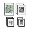 Black Multi-Size Matted Picture Frame Set, Gallery Wall Photo Frames, Set of 7